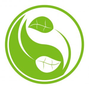 Vector illustration of natural themed yin yang symbol.