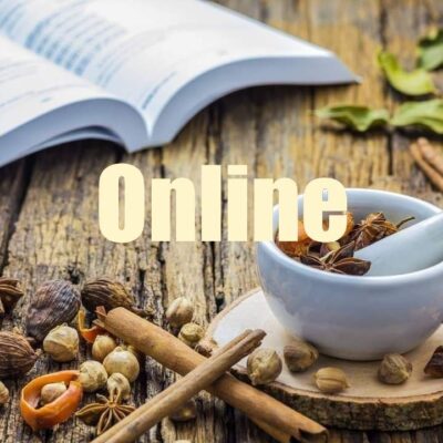 TCM Ernährungsberatung Online